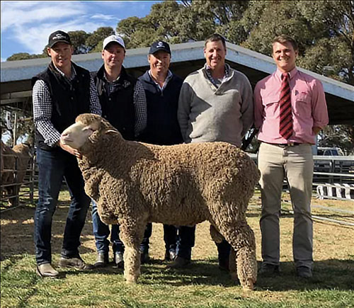 Glenowie purchased a Collinsville Ram EM Imperial 22 for $15,000