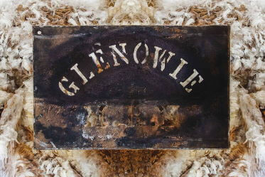 Glenowie Poll Merino Stud Wool Stencil